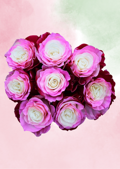 Cupid's Cupcake Mix & Match