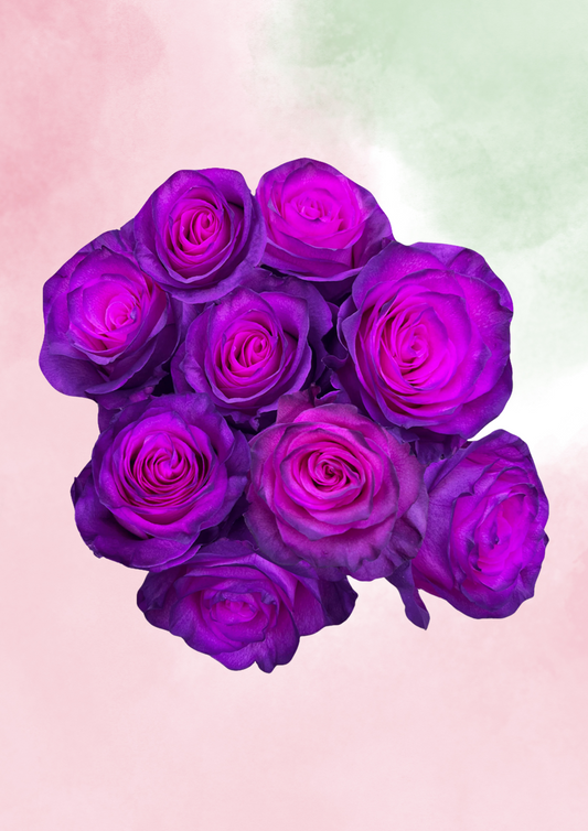 Plum Stardust