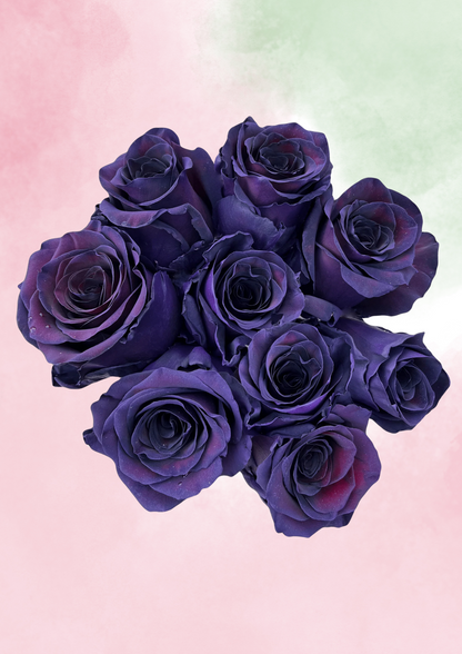 Glimmering Plum