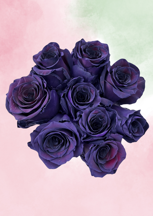 Glimmering Plum