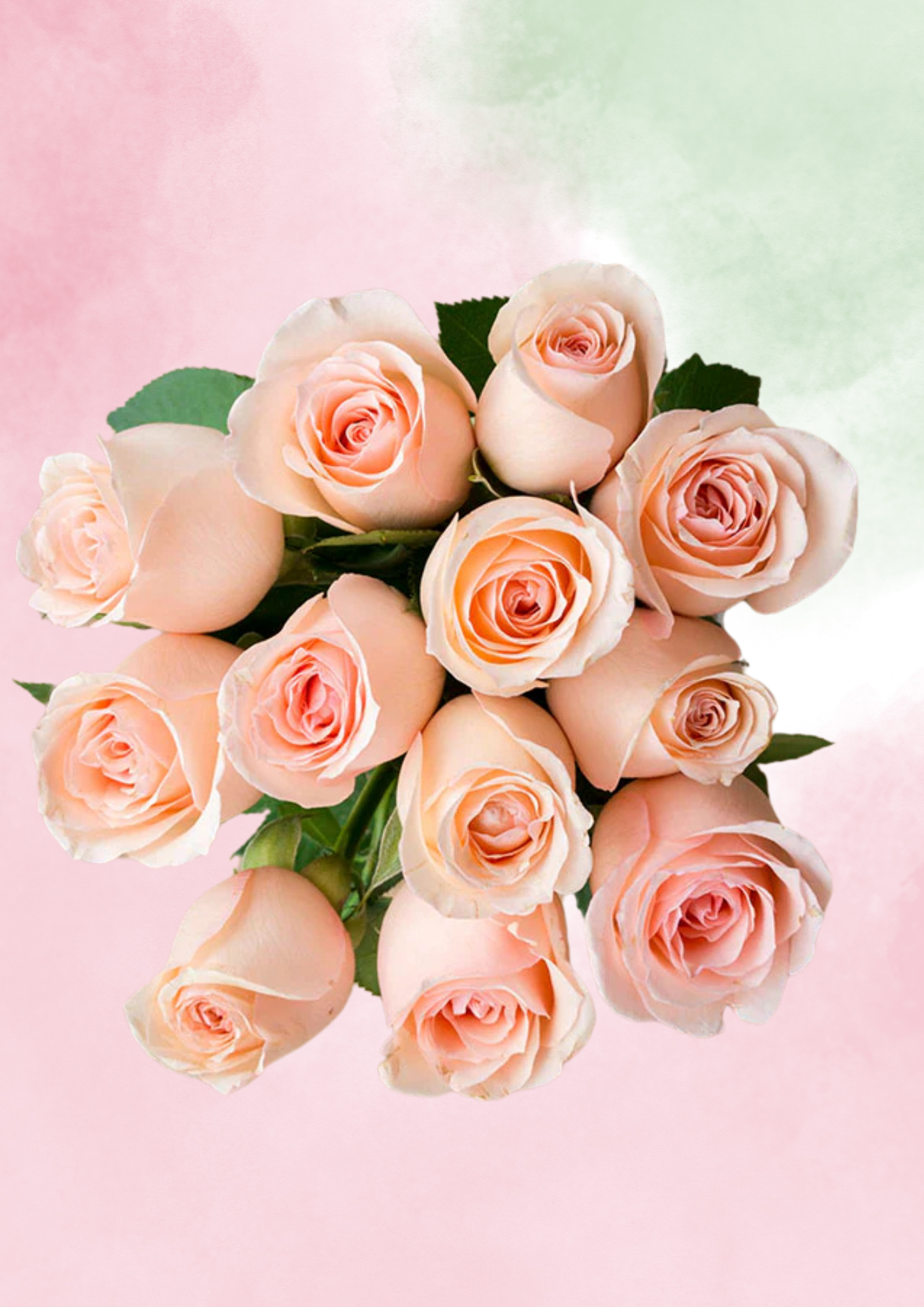 Pink Champagne Dream (Copy)