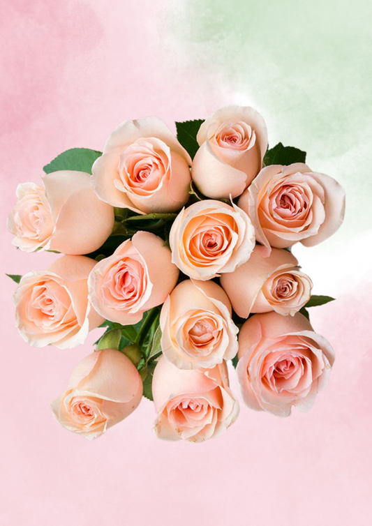 Pink Champagne Dream (Copy)