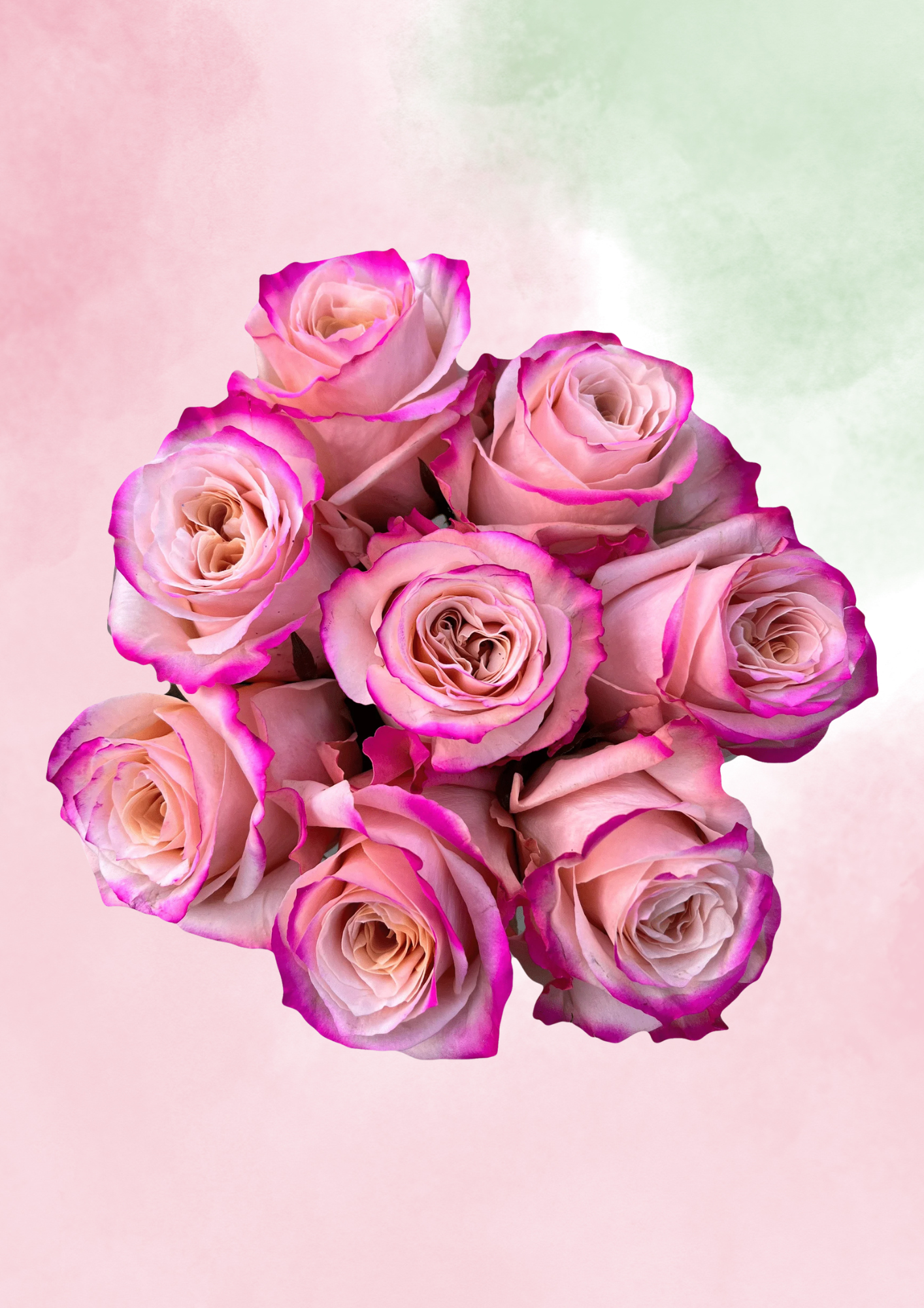 Mauve Majesty (Copy)