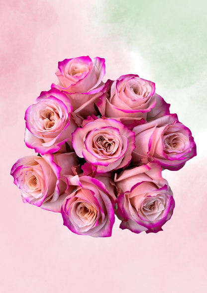 Mauve Majesty (Copy)