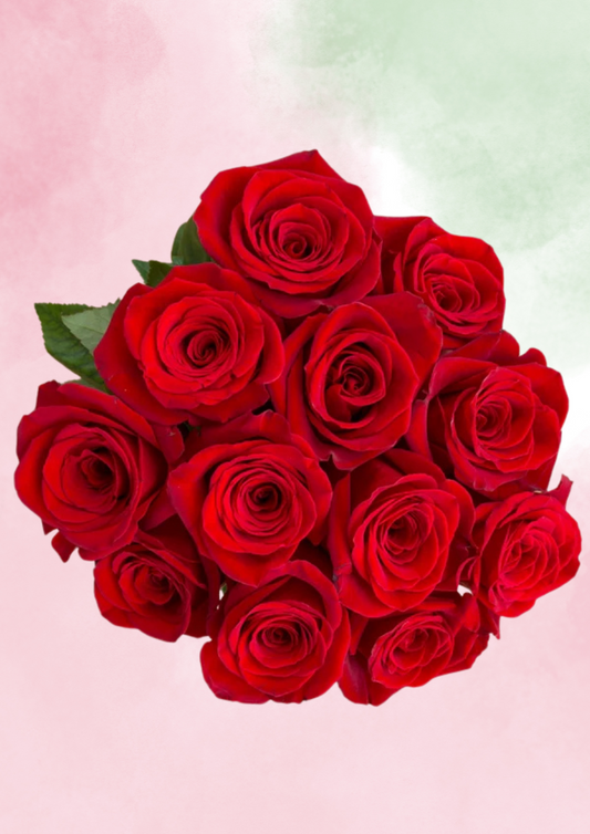 Scarlet Love Letter
