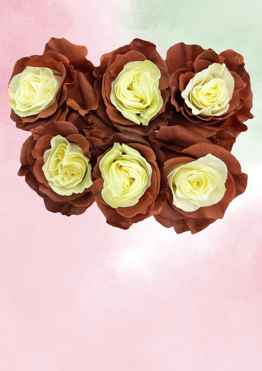 Mocha Crème Bloom