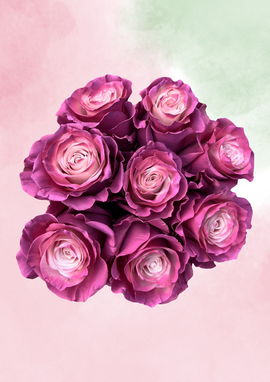 Mauve Majesty