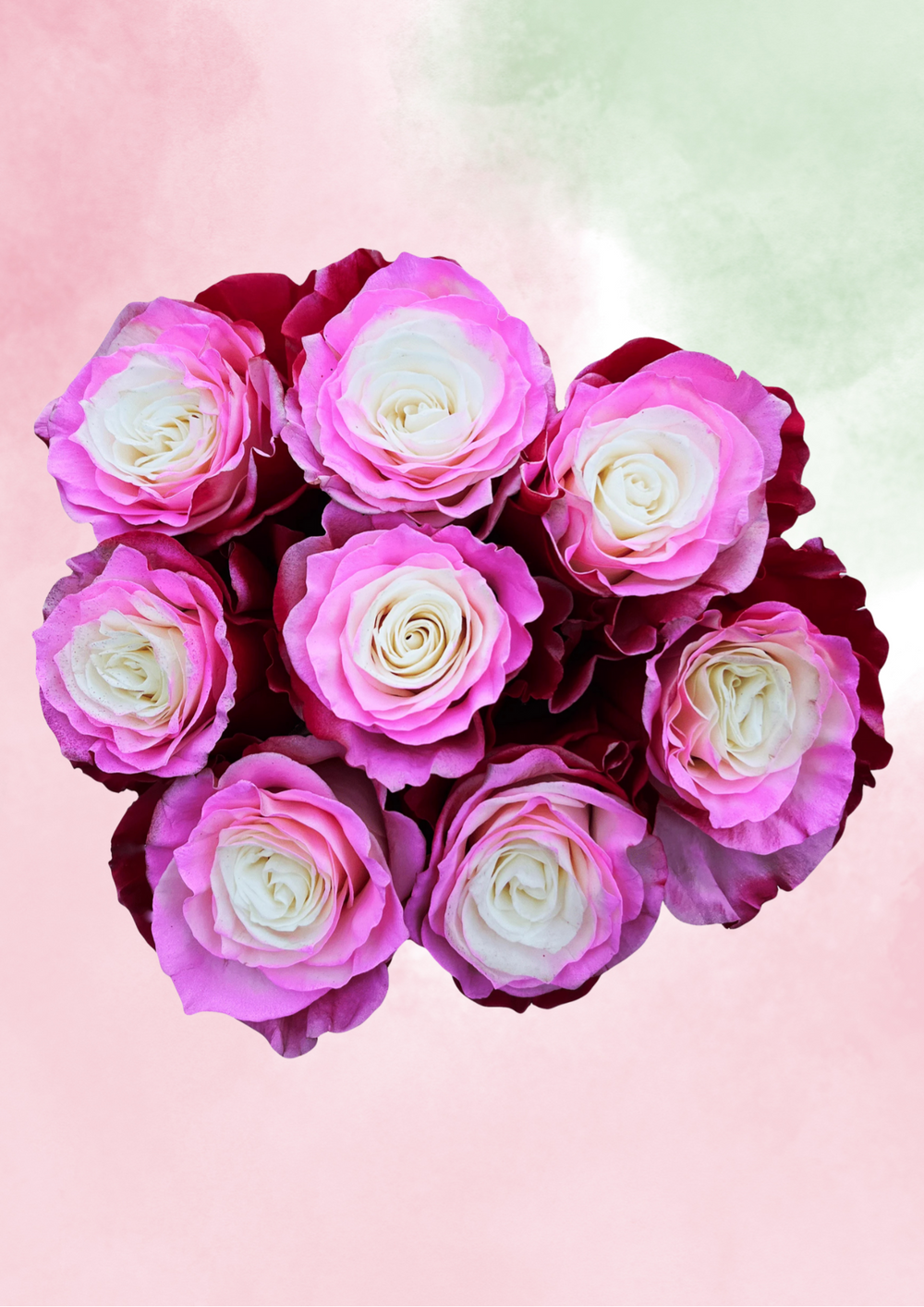Cupid's Cupcake Mix & Match