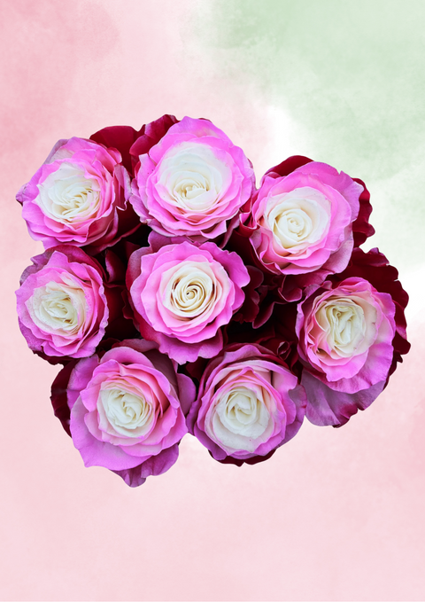 Cupid's Cupcake Mix & Match