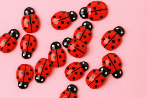 Luck Be A Ladybug
